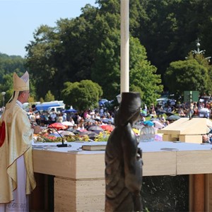 Homilija nadbiskupa Kutleše na svetkovinu Velike Gospe
